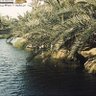 ابو حسن 的头像
