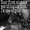 LoneAlphaWolf555's profile picture