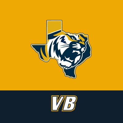 ETBU_Volleyball's profile picture