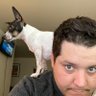 Adam's profile picture