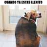 Pancho profil fotoğrafı