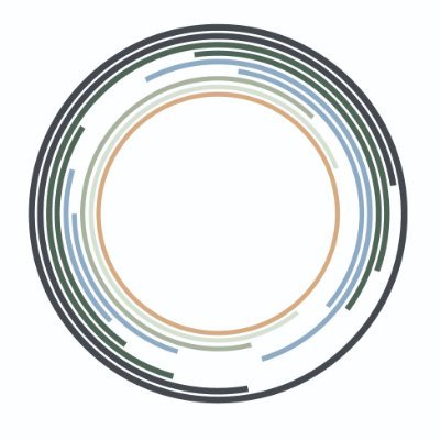 SBT_Network's profile picture