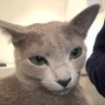 Steffen profil fotoğrafı