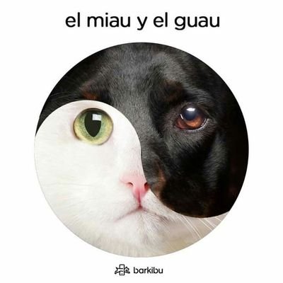 Solopar's profile picture