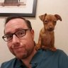 Matt J Nichols profil fotoğrafı