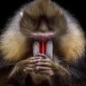 Ltt's profile picture