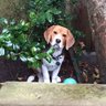 Wally's profile picture