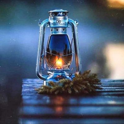 dalalbusaidi's profile picture