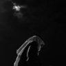 ɴ's profile picture