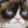Profilbild von Georgie