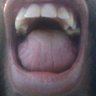 Néstor's profile picture