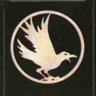 Elliott W's profile picture