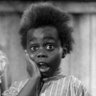 Appi Aszell's profile picture
