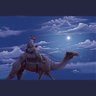 shshshsh's profile picture