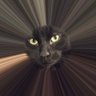 Personification's profile picture