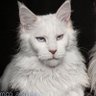 yomyomm666 profil fotoÄrafı
