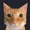 xrtn profil fotoğrafı