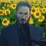 bukan keanu 🍉 的头像