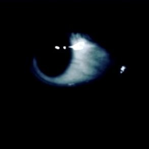 ScambaiterYT's profile picture