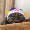 タマゴロウ🌾❤️JUNK2/9福岡's profile picture