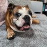 Lynsey profil fotoğrafı