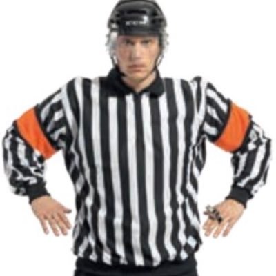 Domarfrågan's profile picture