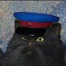 🇷🇺Кот Скрипалей 🇷🇺's profile picture