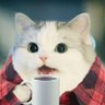 Profilbild von Hector Saavedra▽
