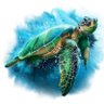 Фото профиля Turtle