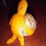 Lenso profil fotoğrafı