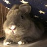 はやぺい 的头像
