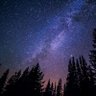 Фото профиля Geevi