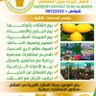 محب للزراعة والترحل ومتابعة أحوال الطقس's profile picture