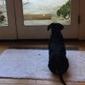 sccoopsmckenz profil fotoğrafı
