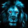أشرف محمد profil fotoğrafı