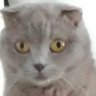 Profilbild von Onryldz