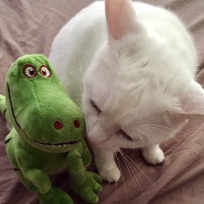 村上雪男堂's profile picture