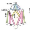 Фото профиля 医マチニブ