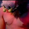 Фото профиля Rolfe but lewd (itzcuin)