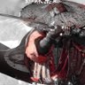 Thangchp's profile picture