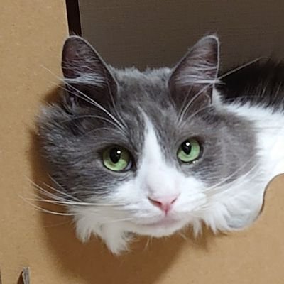 sweet_ekun's profile picture