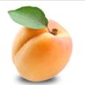 Lemon's profile picture