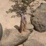 デブリ 的头像