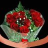 Profilbild von ابو عمر المصرى