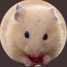 jG's profile picture