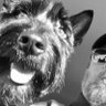 Chris's profile picture