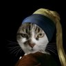 Profilbild von Hyperbalad