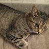 Фото профиля MaryCat