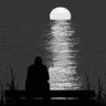 Omer Aldulimy's profile picture