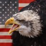 Kryzhick's profile picture